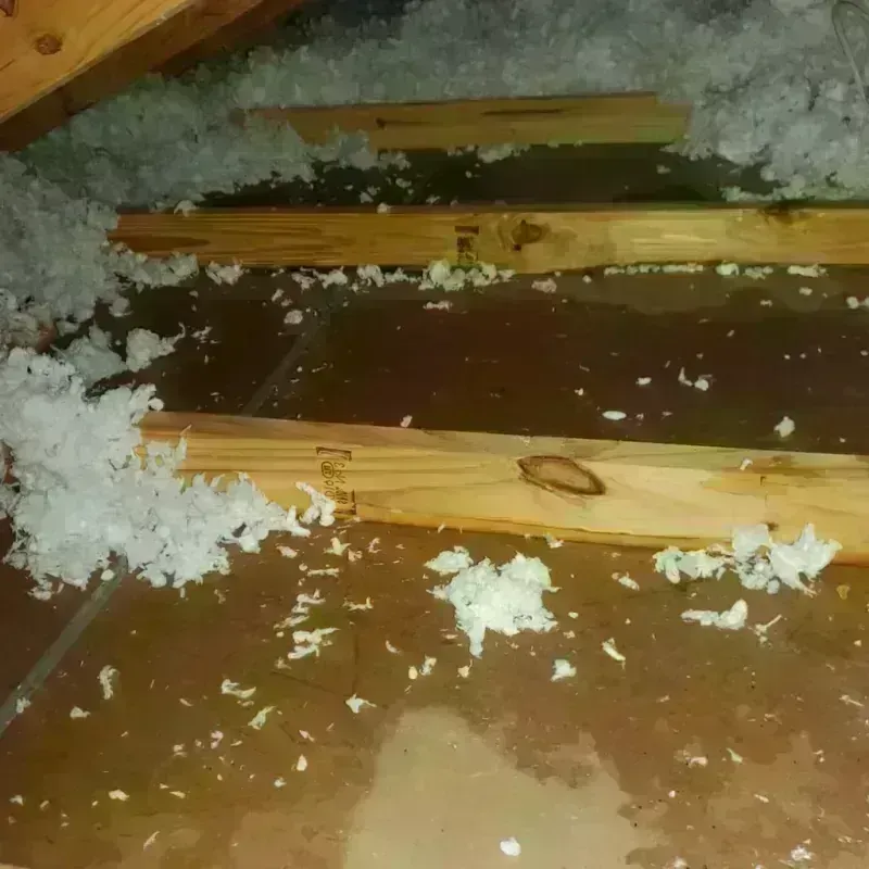 Attic Water Damage in Suquamish, WA